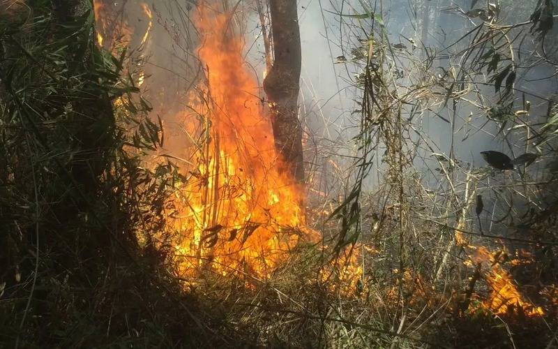 Número de queimadas em Petrópolis até outubro já são maiores do que os dos últimos doi