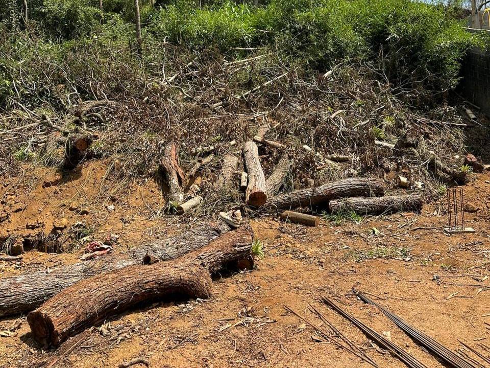 UPAm Três Picos identifica construção irregular e corte de árvores em Nova Friburgo