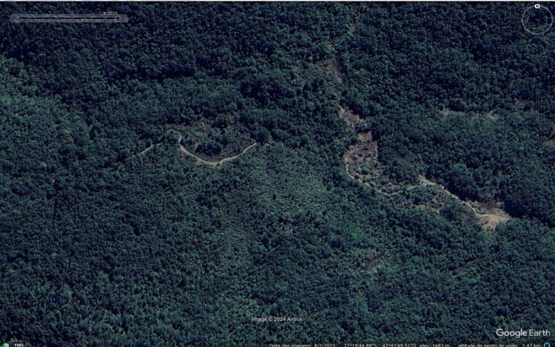 Rio de Janeiro é o único estado que aumentou cobertura de vegetação nativa