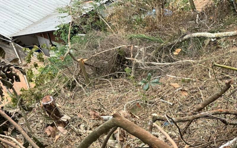 Polícia Ambiental identifica crime contra a flora em Teresópolis com auxílio de inform