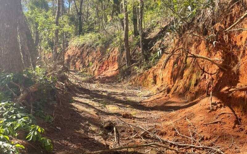 UPAm Três Picos flagra construção irregular e desmatamento na Posse 