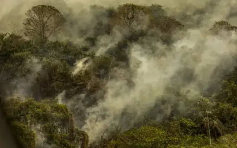 Pantanal: redução da área alagada tem favorecido aumento de incêndios