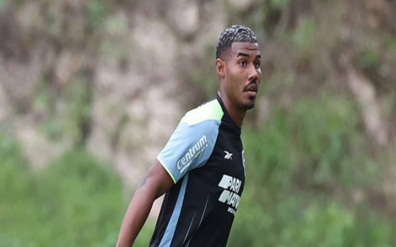 Botafogo tenta retomar vitórias para manter liderança do Brasileiro