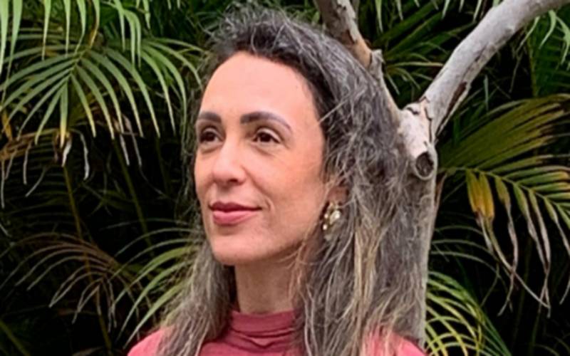 Dia internacional para a eliminação da violência contra as mulheres: um alerta urgente