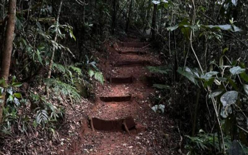 Parque Estadual dos Três Picos inaugura trilha centenária com mais de 900 Km