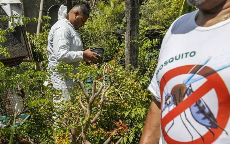 Dia D contra dengue promove ações de conscientização em todo Brasil