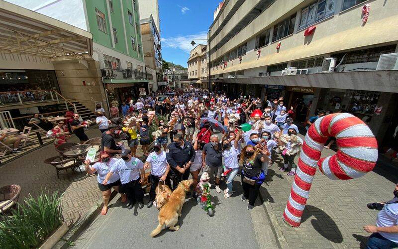 Cãominhada da Dog’s Heaven acontece no dia 15