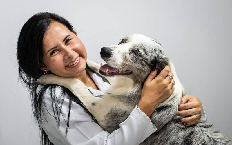 Pets: Comidas e barulhos típicos de dezembro podem causar risco aos animais