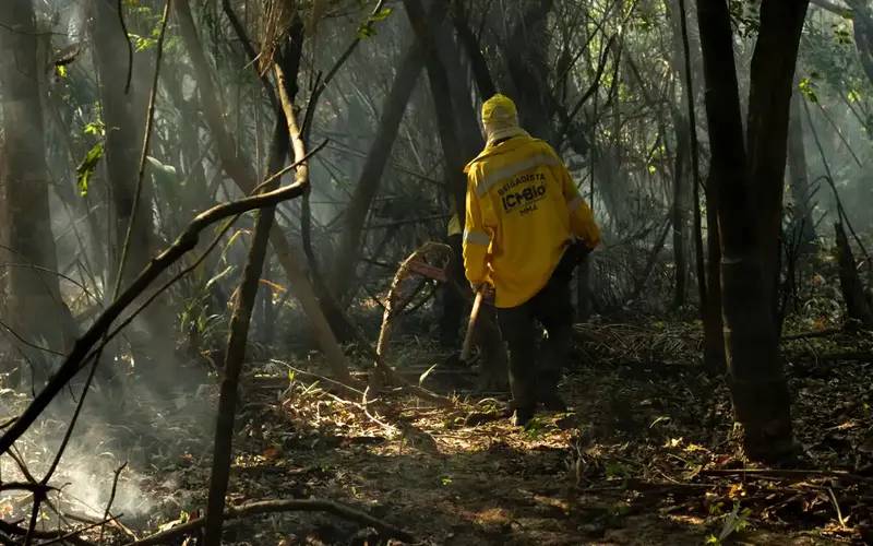 Amazônia tem o maior número de queimadas e incêndios em 17 anos