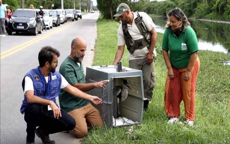 Foto: Divulgação 