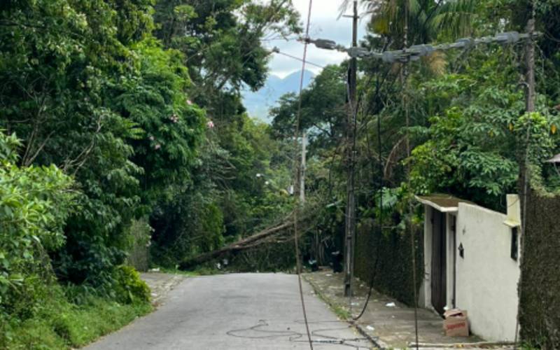 Queda de árvore interrompe trânsito e deixa moradores do Vale dos Esquilos sem luz