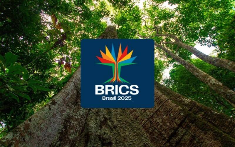 Conheça a identidade visual do BRICS Brasil: árvore amazônica traduz objetivos do grup
