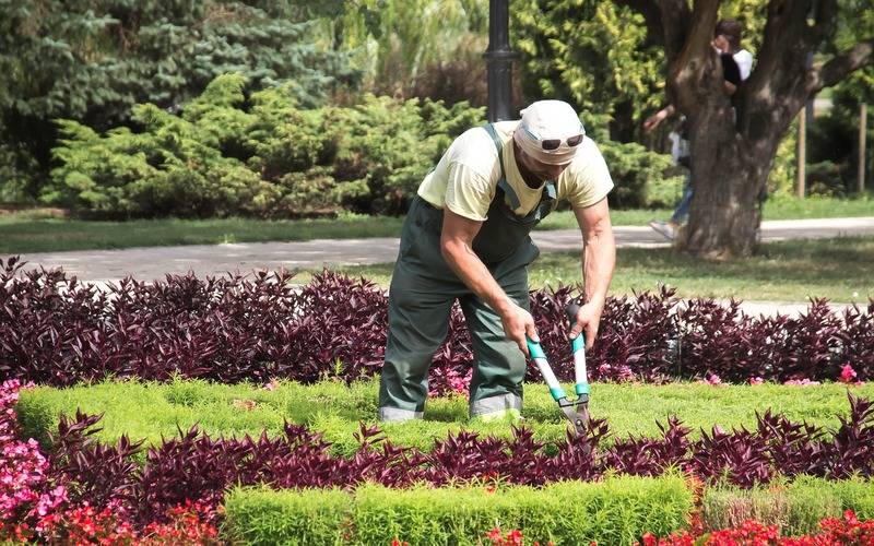 Balcão de Empregos: mais 65 vagas para esta semana