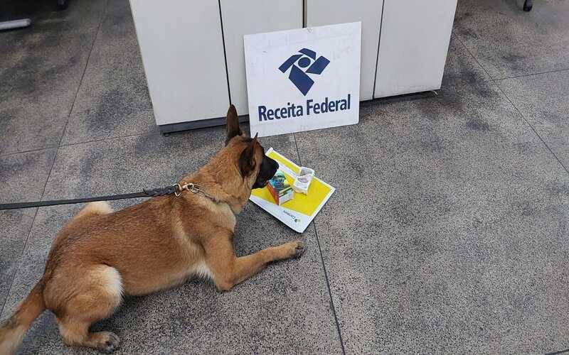 Receita Federal apreende maconha em encomenda no Aeroporto do Galeão/RJ