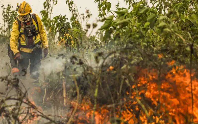 Brasil tem 1 milhão de focos de queimada registrados em 5 anos