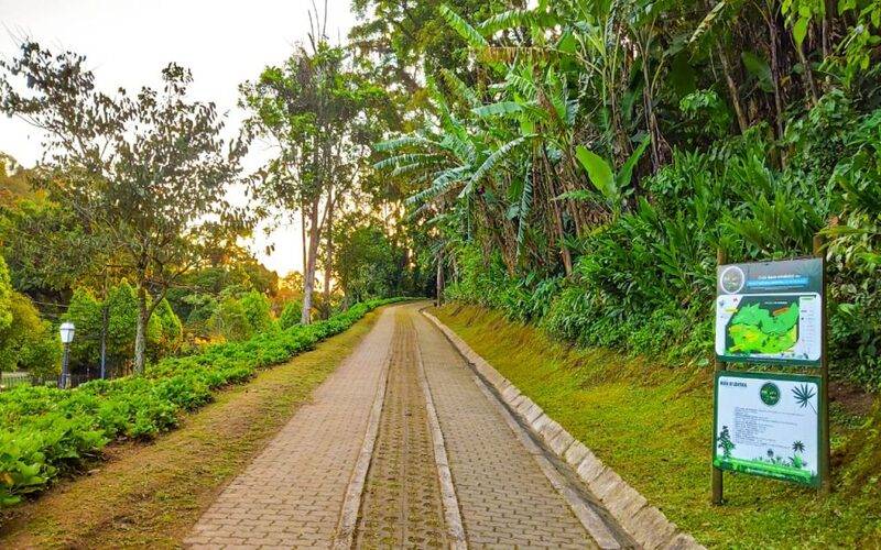 Parque Natural da Ipiranga passa a funcionar aos fins de semana das 7h30 às 17h