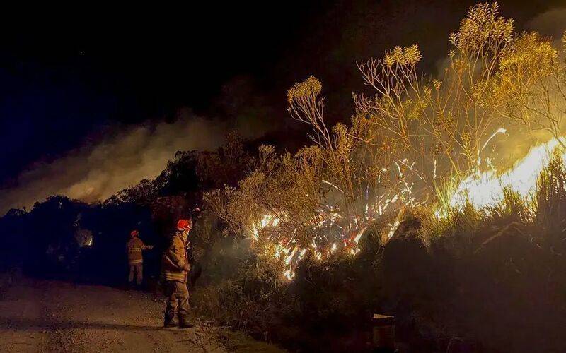 Número de incêndios florestais sobe 136% na cidade 