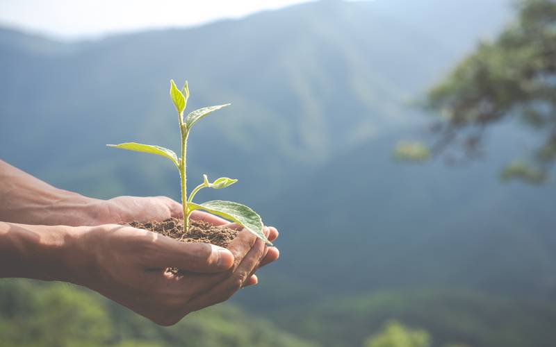 Dia Mundial da Educação Ambiental: conscientização e sustentabilidade com o Projeto Ar