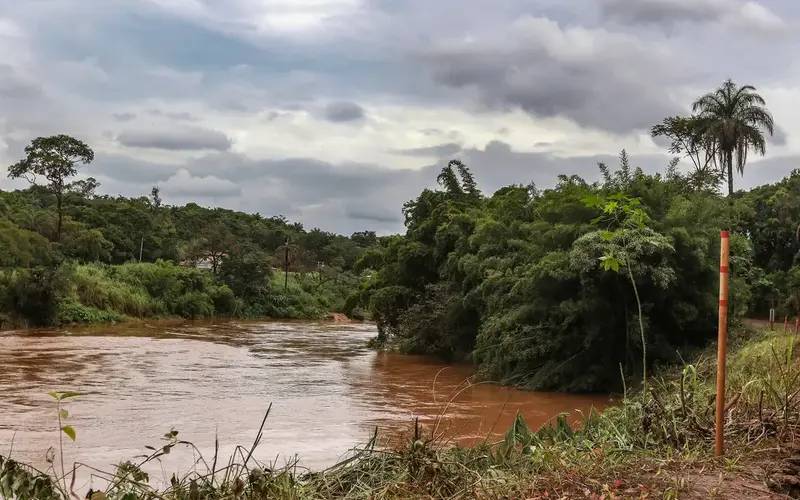 Estudo detecta presença de metais na urina de crianças em Brumadinho