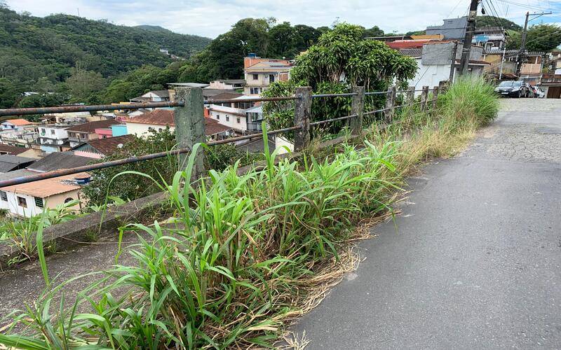 Moradores da Comunidade do Gulf pedem capina na região