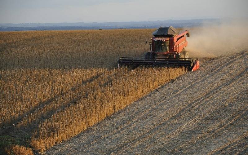 Conab aponta novo aumento na produção de grãos alcançando 325,7 milhões de toneladas n