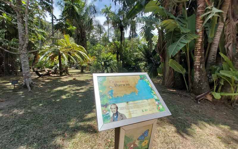 Semana de Darwin no Museu do Jardim Botânico celebra ciência, evolução e biodiversidad