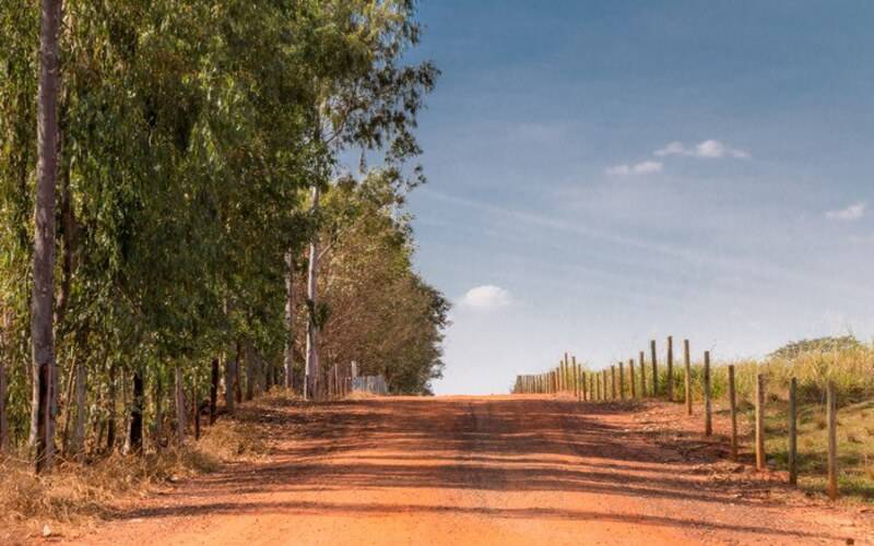 Governo lança Programa Nacional de Estradas Rurais para aprimorar escoamento da produç