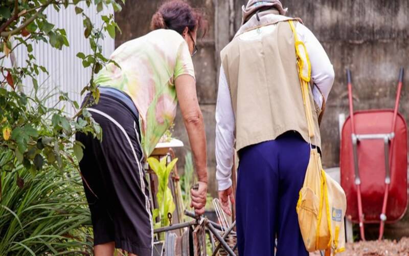 Brasil registra queda de quase 70% nos casos de dengue nos 2 primeiros meses de 2025