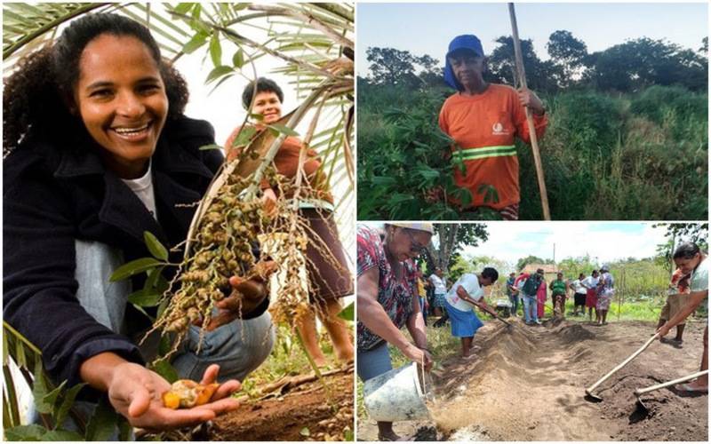 Fomento Rural transforma a vida no campo com 77% de beneficiárias mulheres