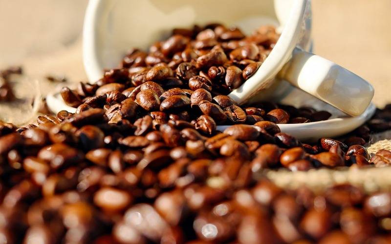 Produção total de café em nível mundial foi estimada em 174,9 milhões de sacas de 60kg