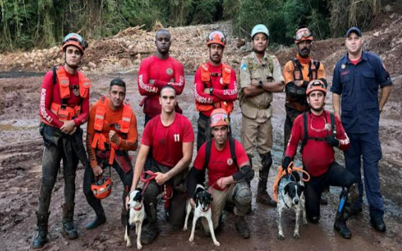 Corpo de Bombeiros RJ resgata mais de 5 mil animais em 2025