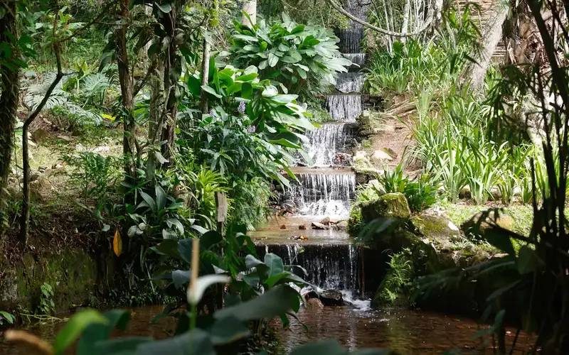 Sistema de água com mais de 200 anos abastece Jardim Botânico do Rio