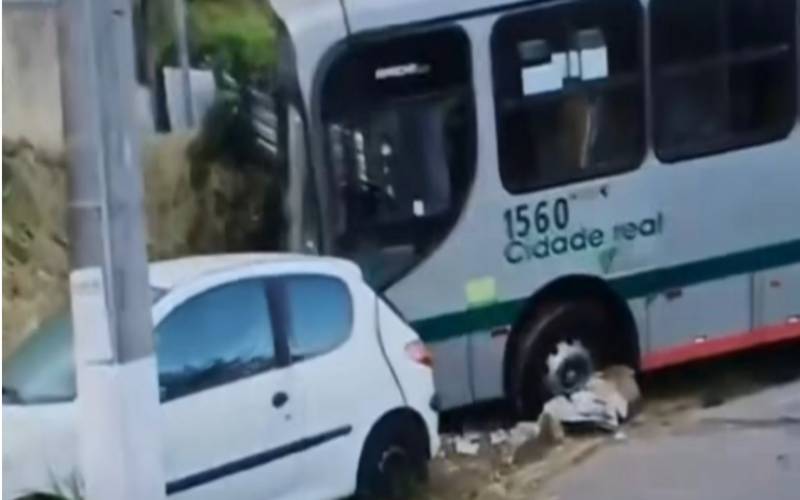 Reprodução