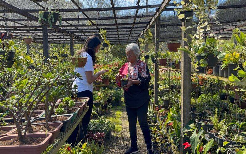 Dia das Mães: Governo do Rio impulsiona floricultura com programa de incentivo