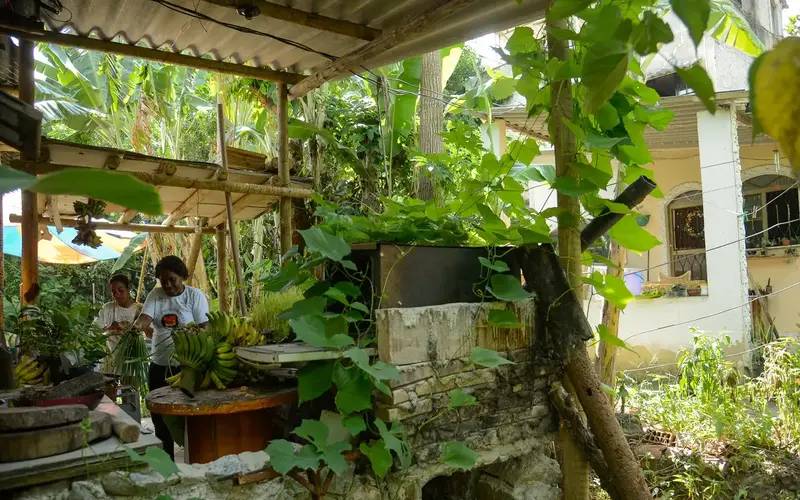 Seis em cada dez quilombolas vivem em área rural, revela Censo do IBGE