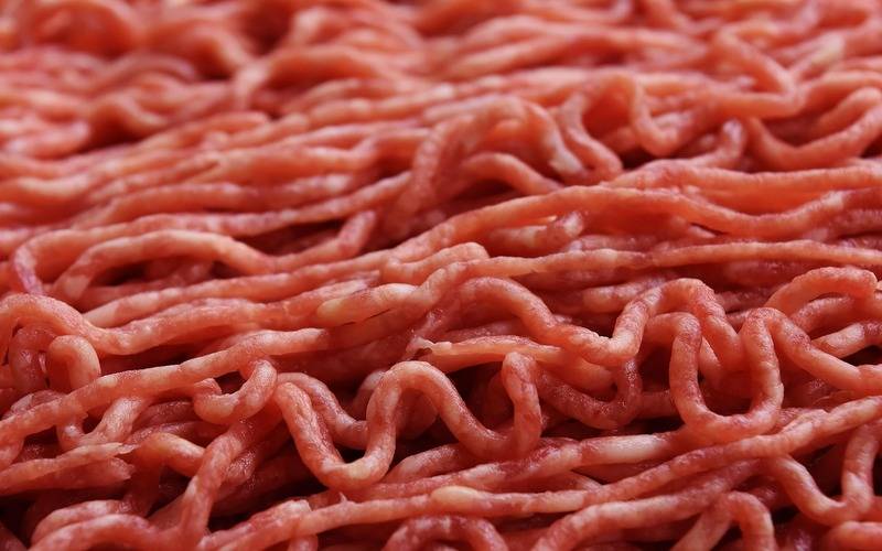 Receita cresce e as exportações totais de carne bovina voltam a superar as 300 mil ton