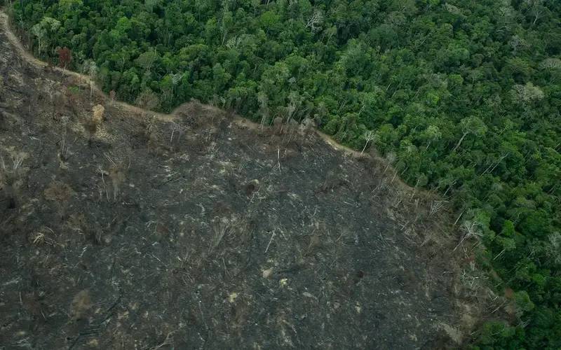 Foto:  Christian Braga/Greenpeace
