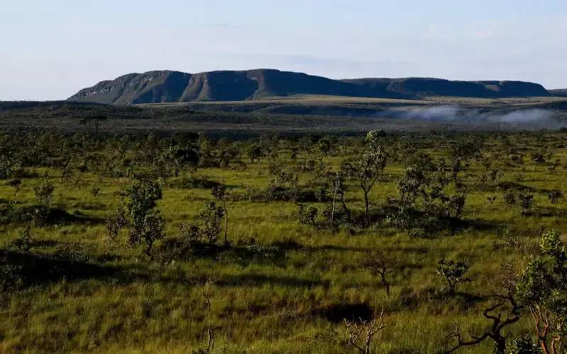 Quase todos os biomas registraram redução do desmatamento em 2024