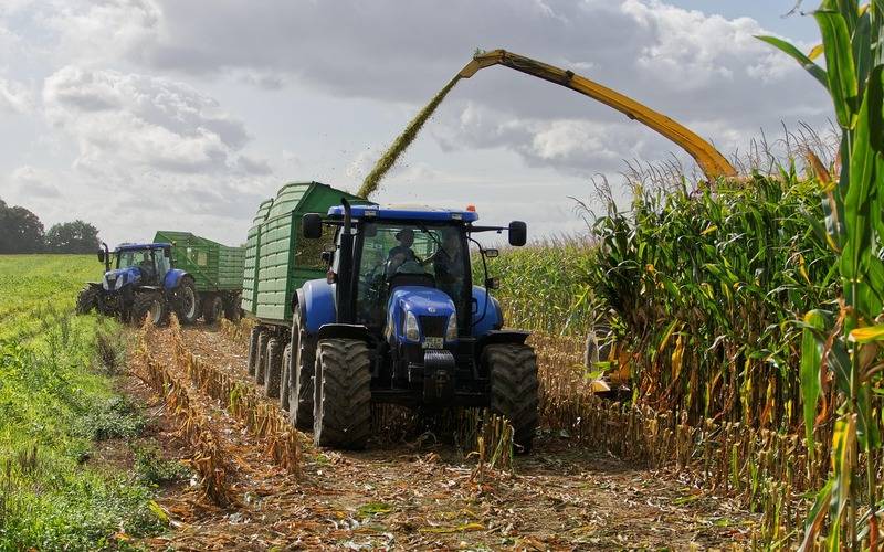 Conab prevê safra de grãos em 332,9 milhões de toneladas influenciada por boa produção