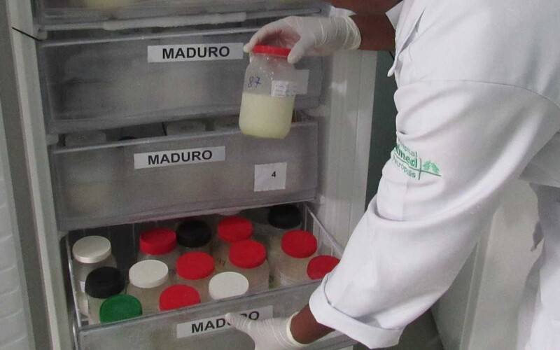 Hospital Unimed reforça iniciativas de incentivo à amamentação