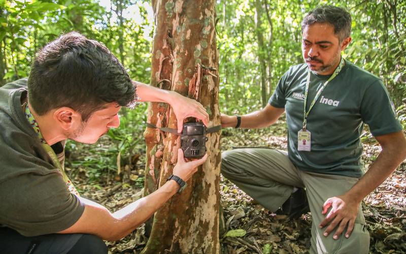 Governo do RJ entrega 480 câmeras para monitoramento de fauna silvestre no RJ