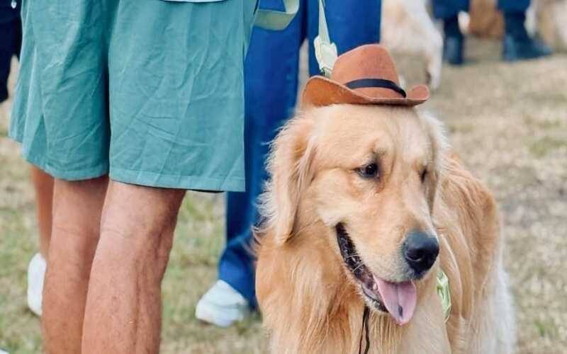 Encontro de Pets será destaque nos dias 15 e 22 de junho no Arraiá Amor Perfeito
