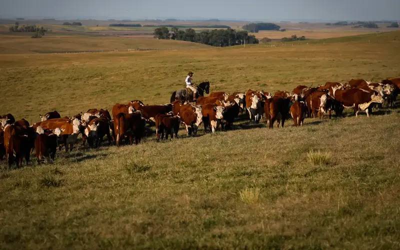 PIB cresce 1,4% no 1º trimestre em relação ao 4º trimestre de 2024