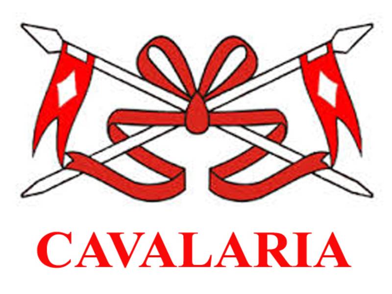 (foto  4  Cavalaria) 