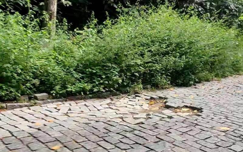 Motoristas pedem reparos na RJ -107