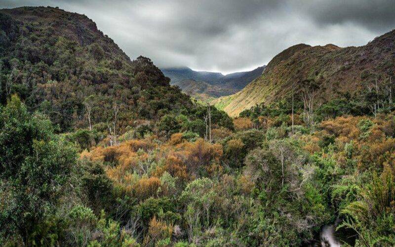 Governo federal institui seis Reservas Particulares do Patrimônio Natural