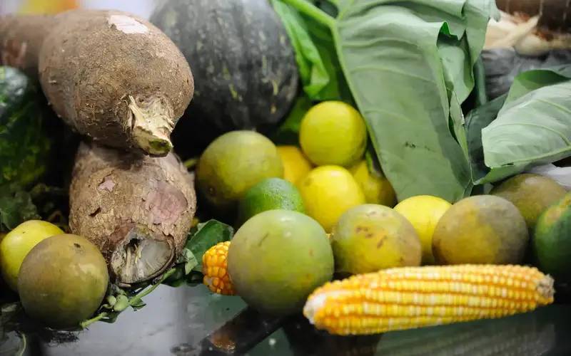Preço da cesta básica cai em 15 de 17 capitais pesquisadas
