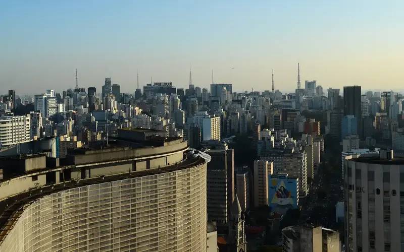 Prédios com vidraças nas cidades ameaçam aves, aponta pesquisa