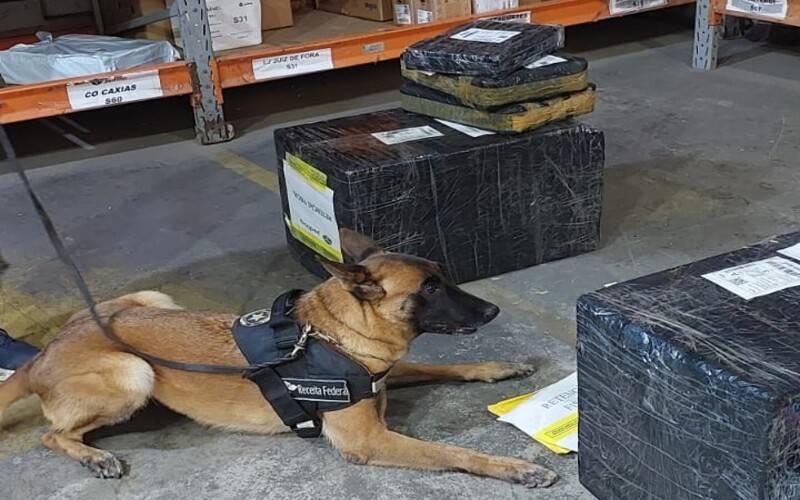 Receita Federal apreende quase R$ 40 mil em ecstasy em transportadora no Rio de Janeir