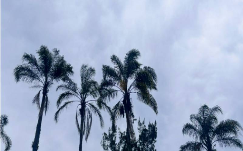Avanço de frente frio e ciclone extrartopical estimulam o surgimento de rajadas de ven
